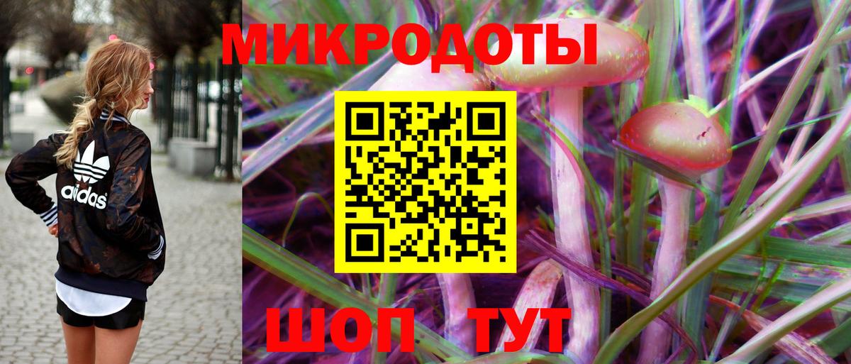 Псилоцибиновые грибы Cubensis Вичуга