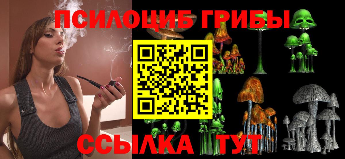 Псилоцибиновые грибы MAGIC MUSHROOMS  Псилоцибиновые грибы GOLDEN TEACHER  Вход с VPN  Вичуга 